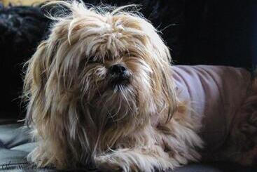 צימר Tomah Retreat   Studio Relax With Fireplace