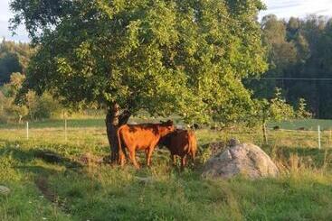 تختخواب و صبحانه Gramersgården