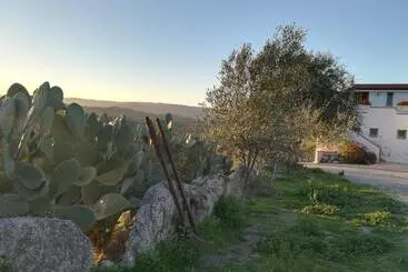 Bed And Breakfast Sas Damas