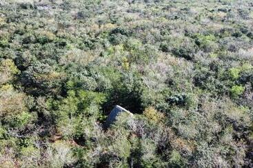 酒店 Cenote Secreto Maya