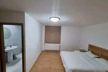 Casa Voinea