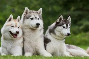 Life Farms   Near Mopa Airport Goa