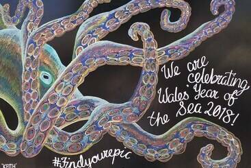 בית מלון כפרי Castle Inn