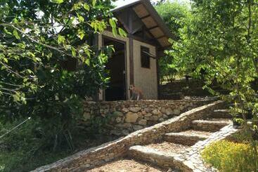 Vandrarhem Busuanga Backpackers