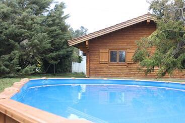 פנסיון Beewood