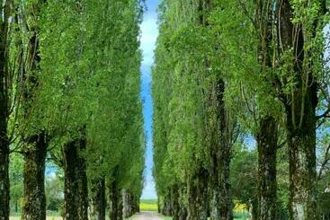 住宿加早餐 L’allée Des Peupliers