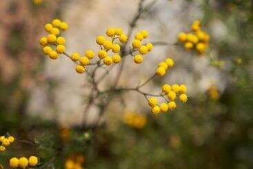 Jakkalswater Guest Farm