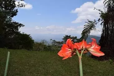 ホテル Mirador Valle Del General