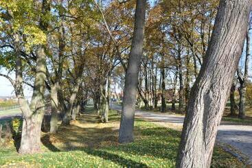 בית מלון כפרי Viwaldi