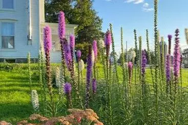 ベッドアンドブレックファースト Bloom Farm Guesthouse