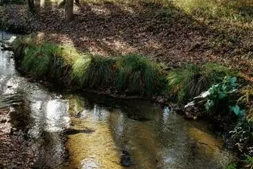 Bed and Breakfast Chambres D Hôtes à Pontonx