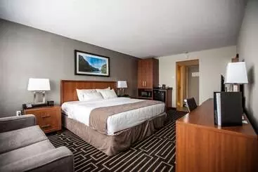 מוטל Quality Inn