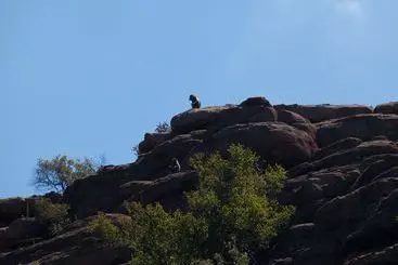 Hotel Thabankulu Game Resort