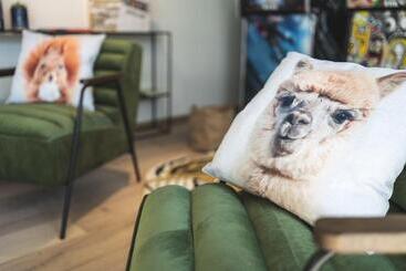 Coloft Lille Lesquin