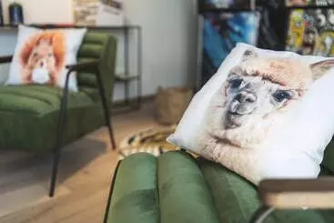 Coloft Lille Lesquin