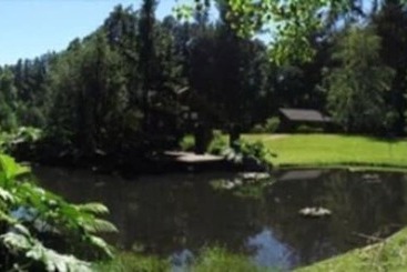 Cabañas   Casa Lago Villarrica