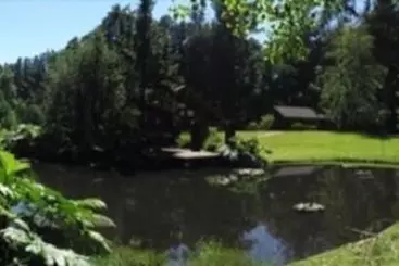 Cabañas   Casa Lago Villarrica