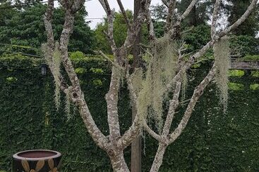 酒店 Baan Chai Lay Apartment