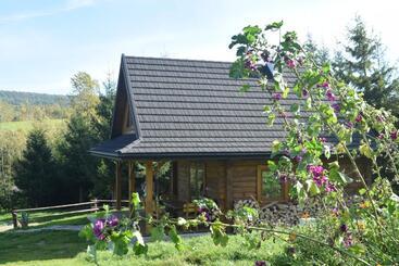 Apartamenty Pod Werchowyną