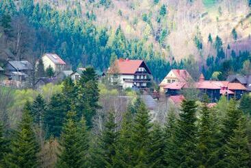 펜션 Górski Wypoczynek