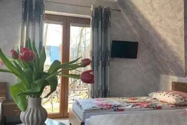 Pension Witowiański Dworek