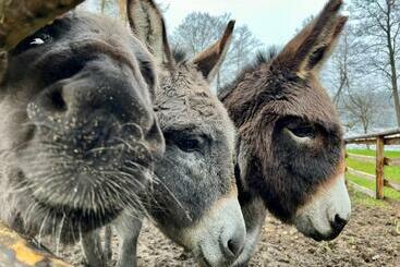 Gospodarstwo Agroturystyczne Kozłowiec