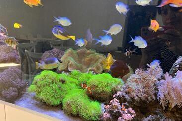 ホテル Magiczny Zakątek