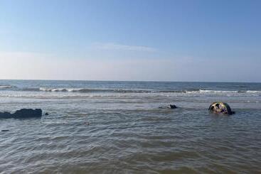 膳宿费 Casa De Oliveira