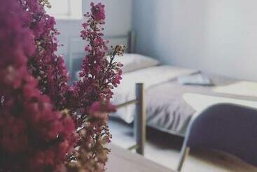 Lawendowy Hostel Wrocław