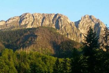 پانسیون Willa Otulina Pod Giewontem