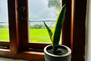 بنسيون Hidden Leaf Anuradhapura