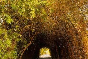 Farm Stay Resort Shamirpet, Hyderabad