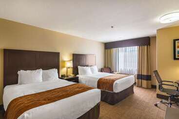 فندق Comfort Inn & Suites