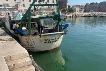 פנסיון Guest House Isabel Pinto