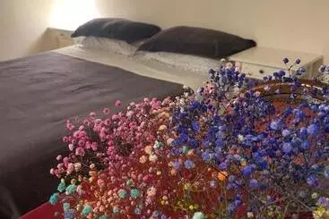 ペンション Guest House Isabel Pinto