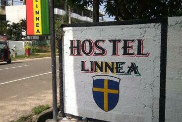 Linnea Hotel And Hostel