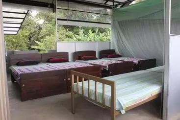 Forest Tree Top Holiday Resort