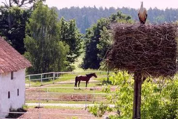 Stadnina Koni Kierzbuń