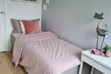 Aamiaismajoitus (B&B) Welcoming Single Room In The City Center