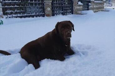 Bed & Breakfast Villa Monterosso
