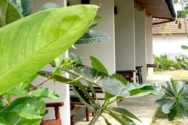 Hotel Coconut Beach