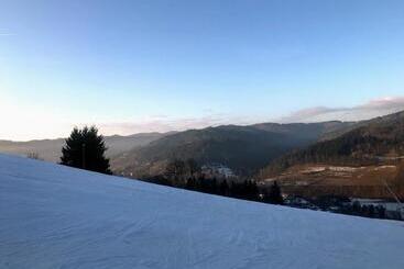 פנסיון Penzion Karolinka