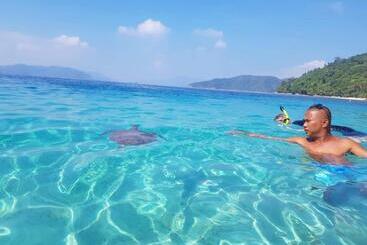 Pensione Vincent Lloyd S Guestroom