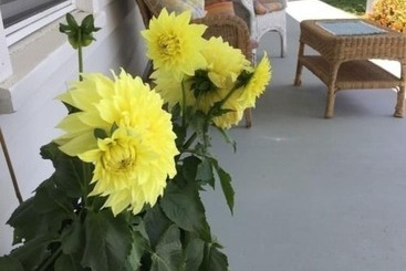 Bed & Breakfast The Hayden Creek Inn