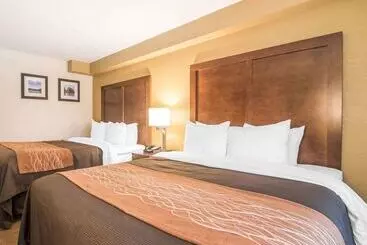 모텔 Comfort Inn & Suites Brattleboro I 91