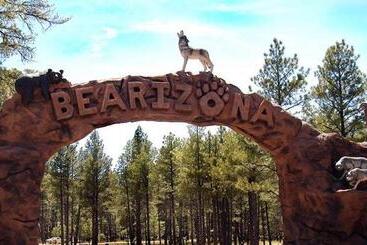 호텔 Holiday Inn Express & Suites Williams, An Ihg