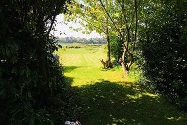 بنسيون Wolds Village