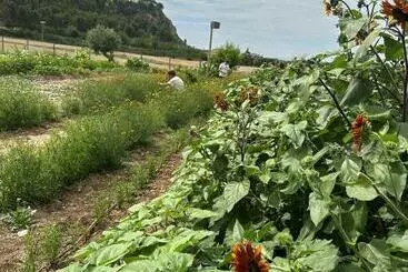 Retkeilymaja Entheos