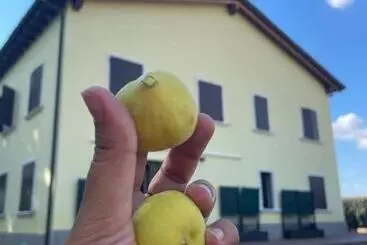 Aamiaismajoitus (B&B) Malamù Bnb Eventi