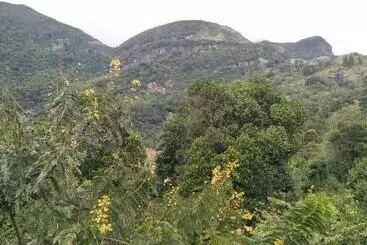 ホテル Hillside